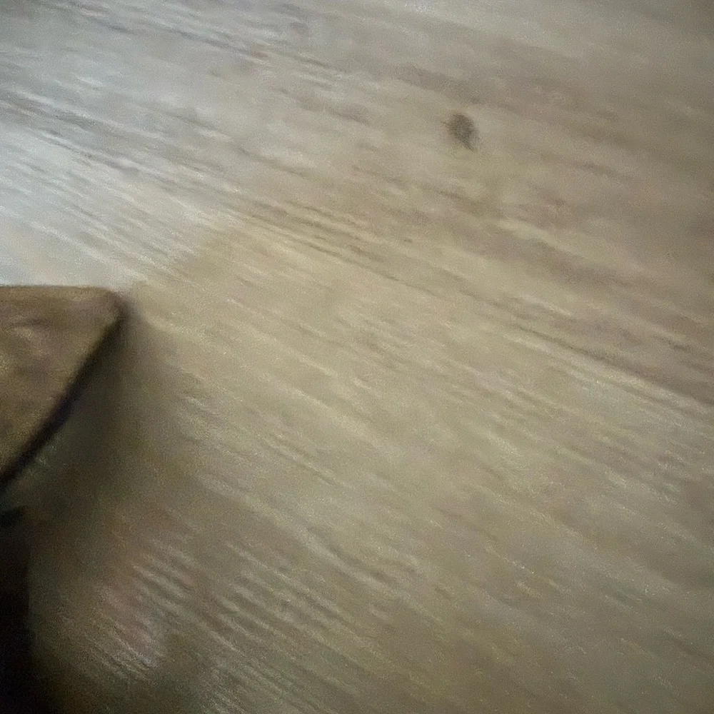 Ted Baker Dark burgundy suede  Women's Heels - Picture 5 of 13